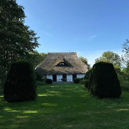 Idyllisches Reetdachhaus In Alleinlage Nossentiner Huette